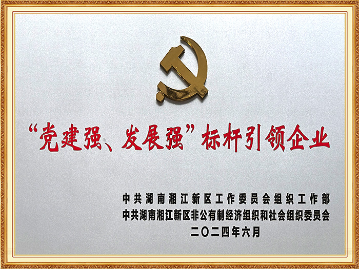 党建强、发展强、标杆引领企业（湘江新区）